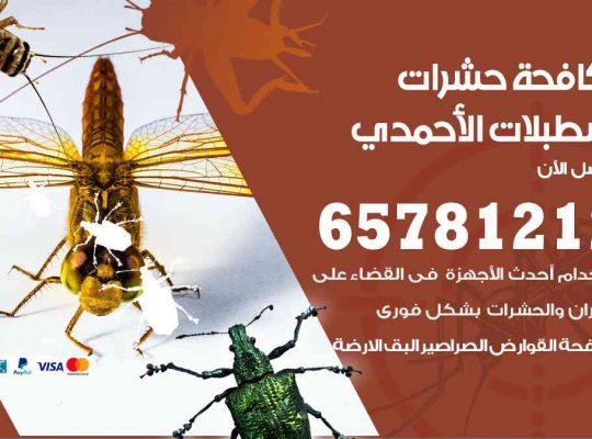 شركات مكافحة حشرات اسطبلات الأحمدي