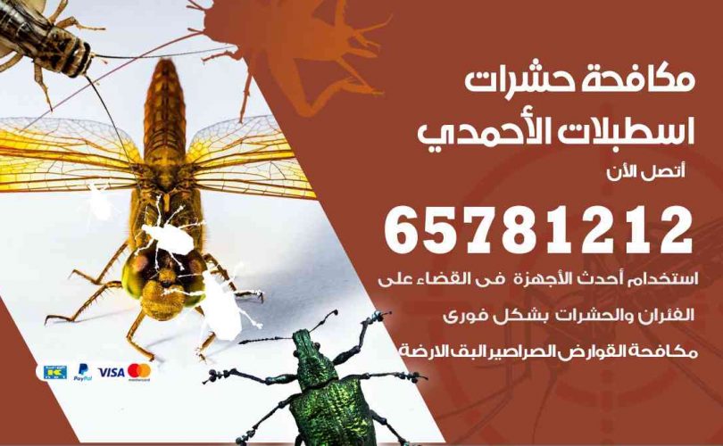 شركات مكافحة حشرات اسطبلات الأحمدي