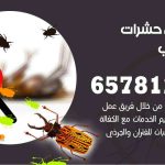 شركات مكافحة حشرات السالمي / 50050641 / افضل شركة مكافحة حشرات وقوارض