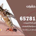 شركات مكافحة حشرات السلام / 50050641 / افضل شركة مكافحة حشرات وقوارض