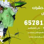 شركات مكافحة حشرات الفنطاس / 50050641 / افضل شركة مكافحة حشرات وقوارض
