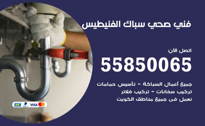 فني صحي الفنيطيس