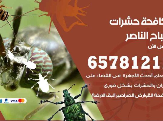 شركات مكافحة حشرات صباح الناصر