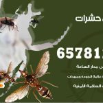 شركات مكافحة حشرات قرطبة / 50050641 / افضل شركة مكافحة حشرات وقوارض